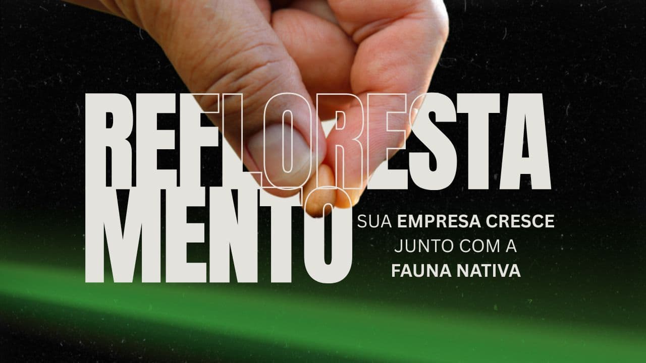 Poster Reflorestamento